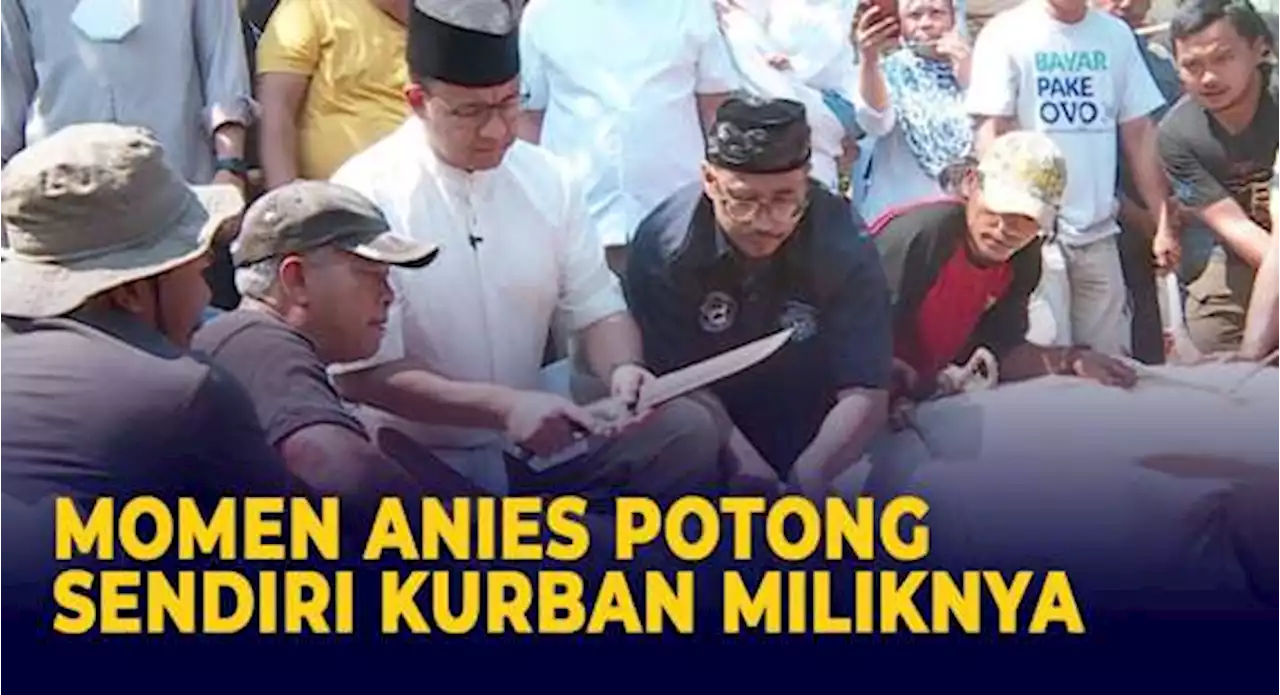 Detik-detik Anies Potong Sendiri Kurban Sapi 1 Ton Miliknya: Diajari Ayah Sejak Kecil