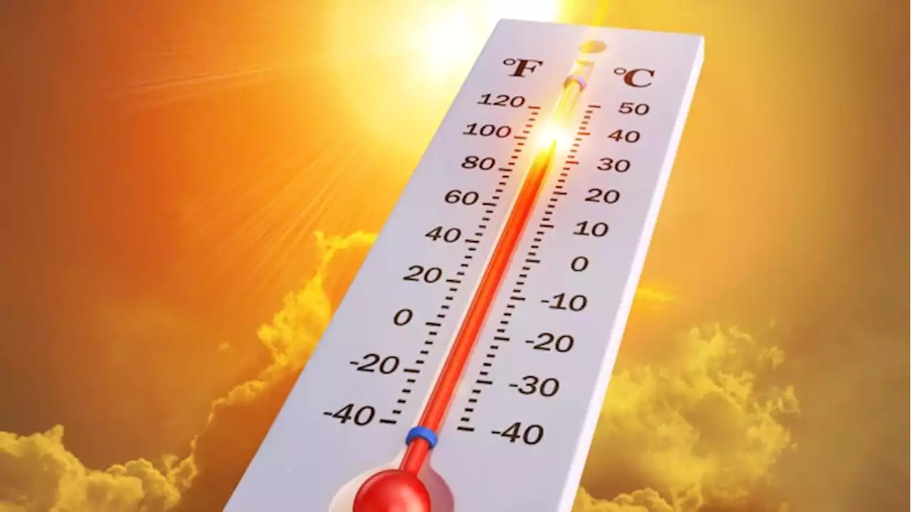 City activates heat emergency plan; Doctor provides safety tips