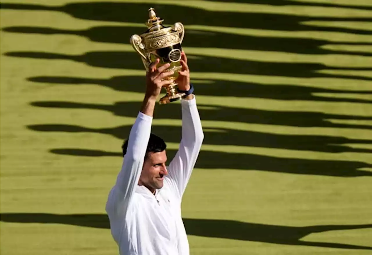 Novak Djokovic beats Nick Kyrgios for 7th Wimbledon title