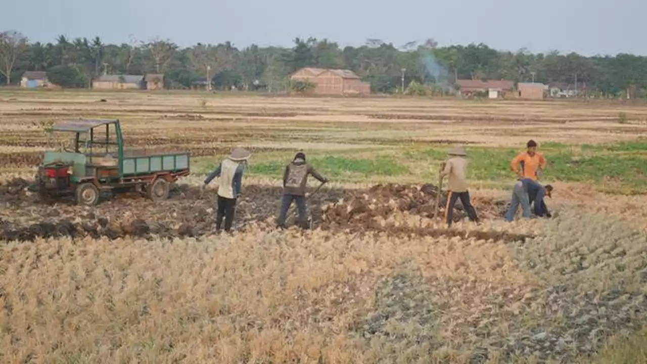 Peranan Alsintan Bagi Petani Karangasem, Tingkatkan Produktivitas Pertanian