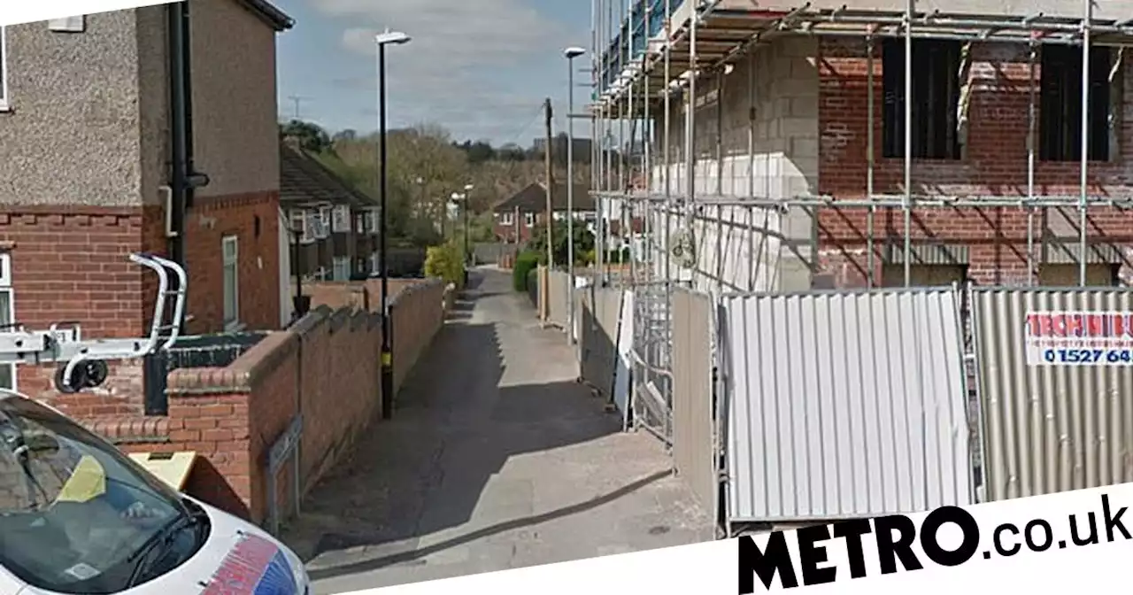 Mum and daughter, 7, sexually assaulted on walk home from school