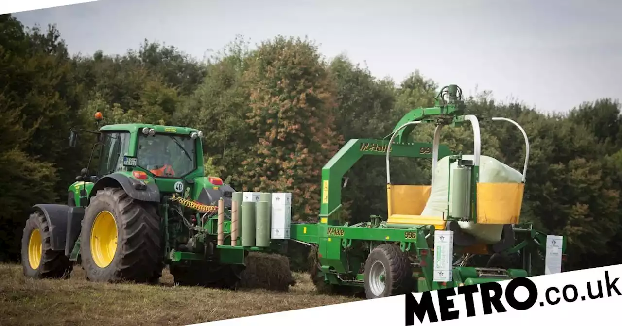 Teenager dies after getting trapped in bale-wrapping machine