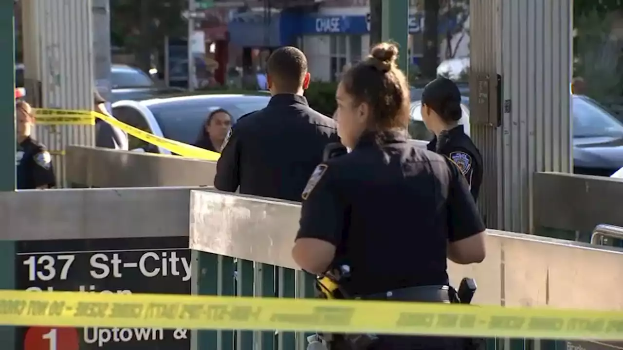 14-Year-Old Boy Killed in NYC Subway Stabbing: NYPD