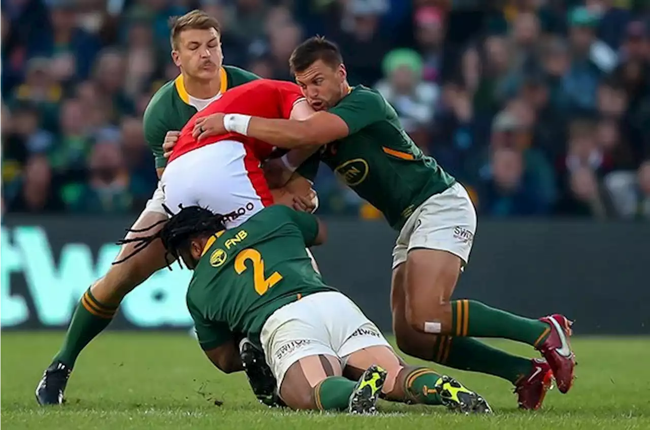 Bok ratings | No howlers from newbies, but only pedigreed Etzebeth, Pieter-Steph flourish in Bloem | Sport