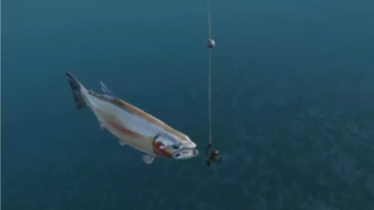 Realism be damned: Ultimate Fishing Simulator's underwater camera is great