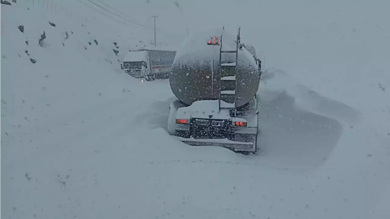 Montañas de terror en la cordillera: hay 10 kilómetros de autos, camiones y micros varados