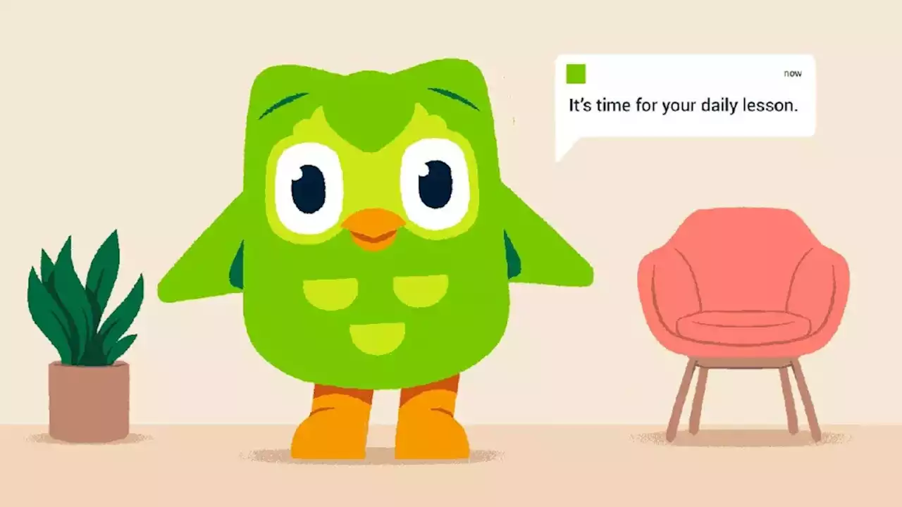 Virgin and O2 customers get to learn languages with Duolingo for free