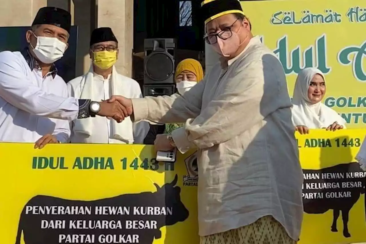 Pastikan Aman dari PMK, Airlangga Hartarto Bagikan Langsung 93 Sapi dan 48 Kambing Kurban - Pikiran-Rakyat.com