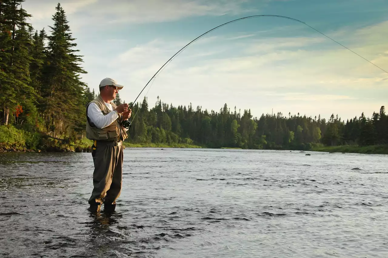 PAUL SMITH: Newfoundland and Labrador outdoor columnist goes back to his first love — Castors River | SaltWire