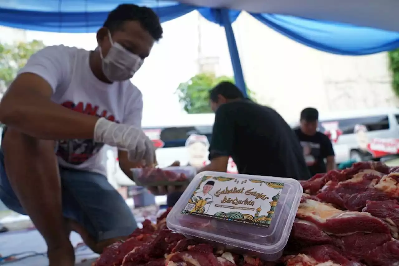 Idul Adha 1443 H, Sahabat Ganjar Bagi-bagi Daging Kurban