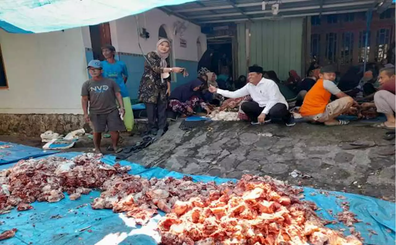 Hewan Kurban di Pengkok Terbanyak se-Kecamatan di Sragen, Ini Daftarnya