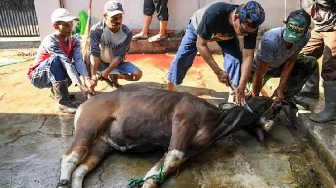 Top 3 Metro: Muhammadiyah Potong Hewan Kurban di Lokasi Bencana Bogor, Salat Idul Adha di JIS