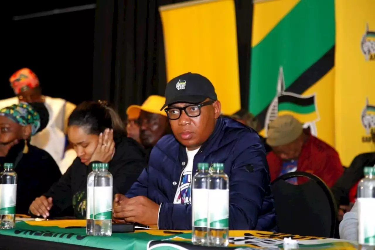 Lesufi slams factional battles at ANC Gauteng conference | The Citizen