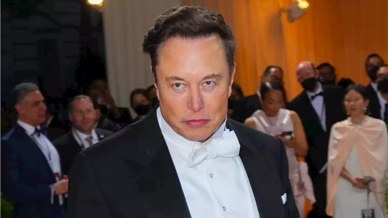 Elon Musk Can’t Explain What the Hell He Did Either