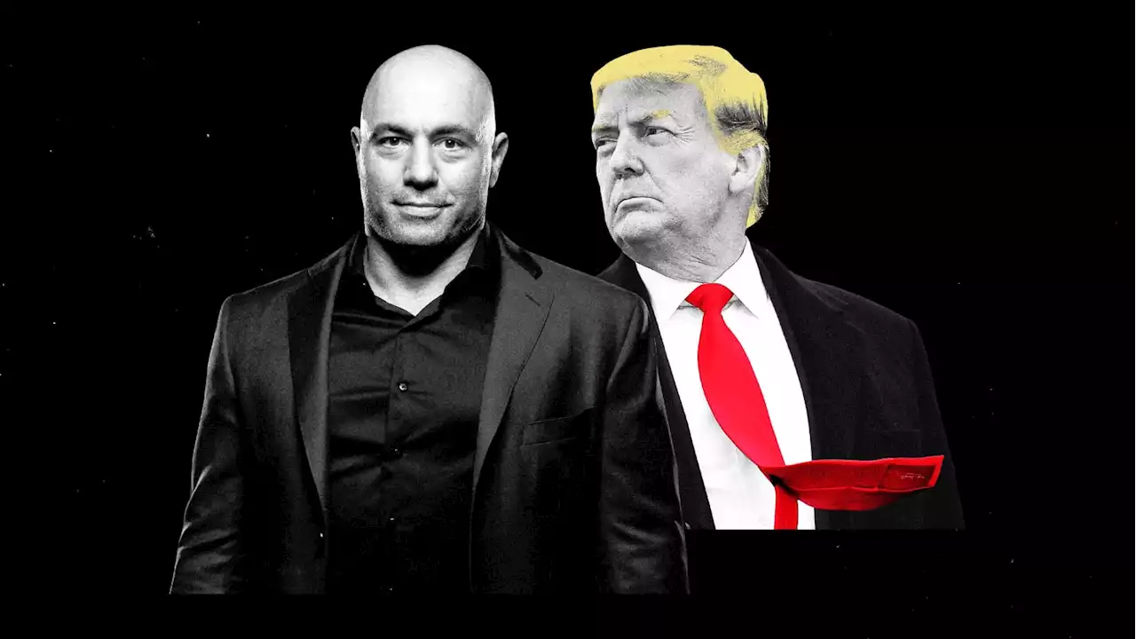 Joe Rogan Reveals He’s Rejected Trump Multiple Times for Interview