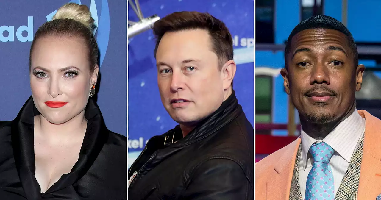 Meghan McCain Slams Elon Musk, Nick Cannon’s ‘Impregnate the Planet’ Idea