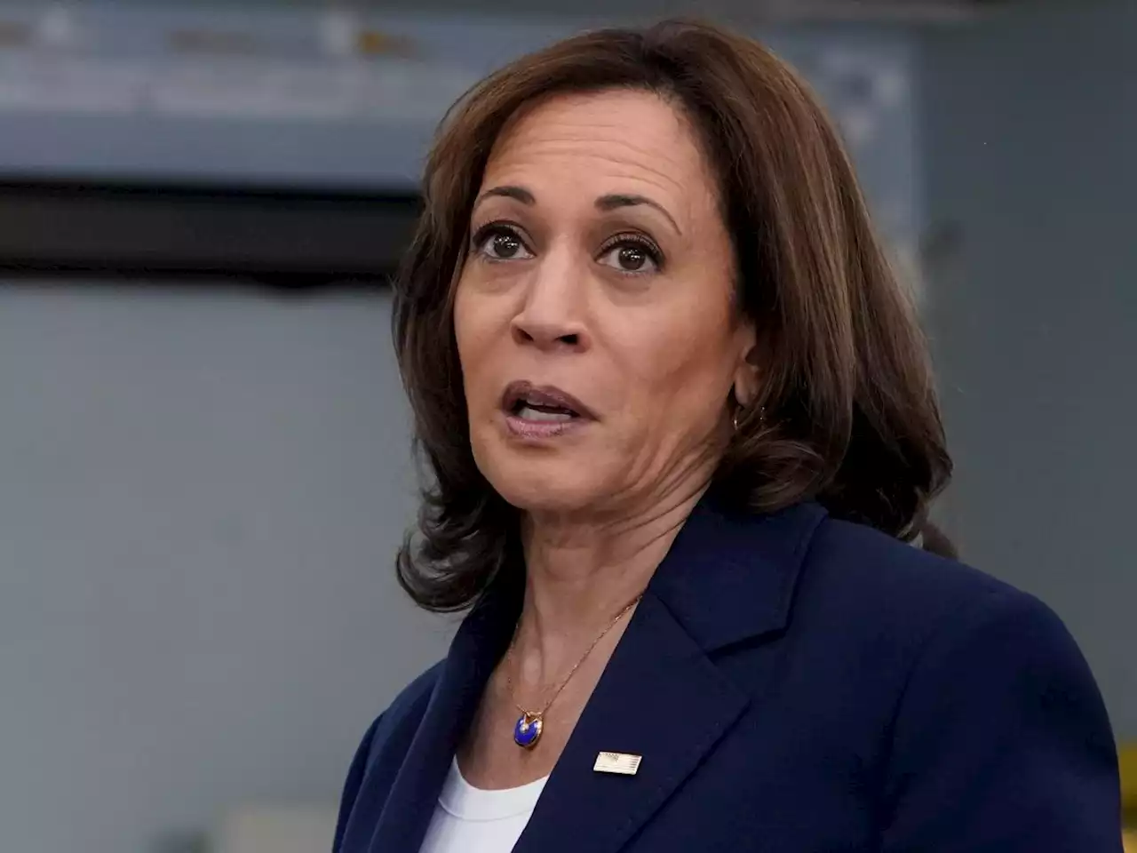 VP Kamala Harris says Democrats didn't codify Roe v. Wade because they 'believed certain issues are just settled'