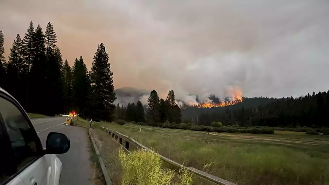 Yosemite crews rush to protect sequoias as uncontained wildfire swells to nearly 1,600 acres