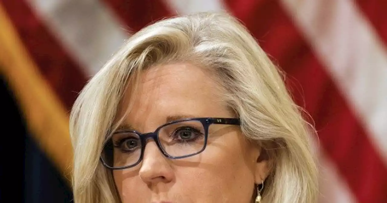 Liz Cheney Funded by Obama, Hillary Donors in GOP Primary