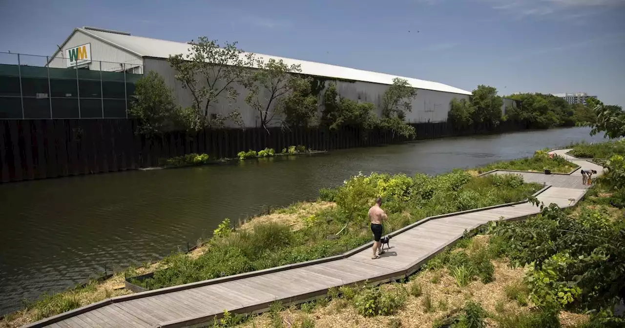 Wild Mile’s learning platform brings students from different backgrounds together to learn about the Chicago River