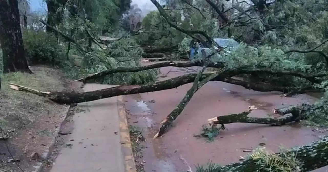 Impactante temporal de granizo en Entre Ríos: casas destrozadas, cortes de luz y un centenar de pollos muertos