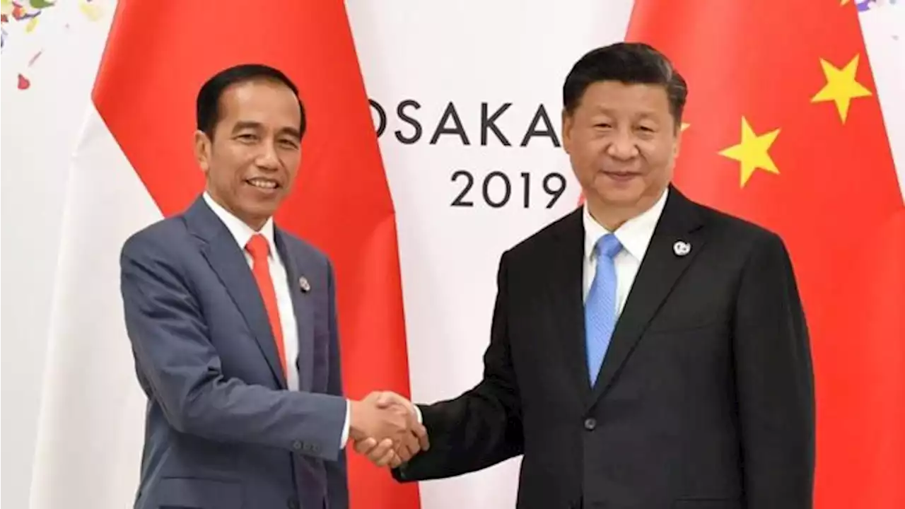 Jokowi '4 Mata' dengan Xi Jinping Akhir Juli, Ada Apa?