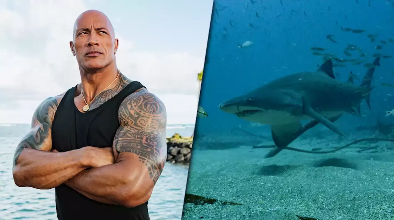 Discovery Channel Releases Full Shark Week Schedule, Dwayne Johnson