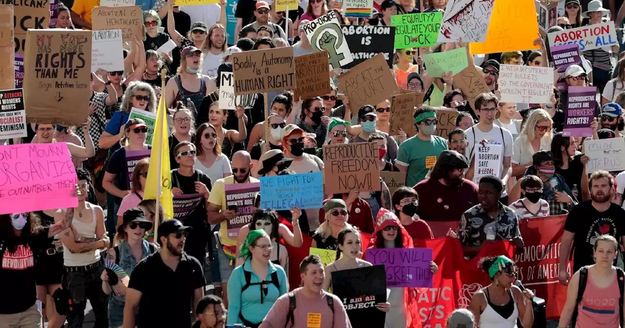 'This Is People Power': Michigan Groups Submit Signatures to Put Abortion Rights on the Ballot