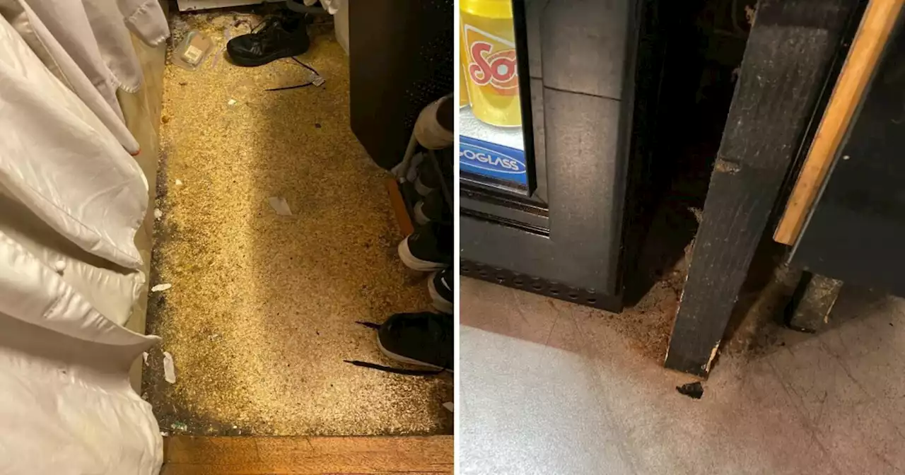 Spisested stengt på dagen