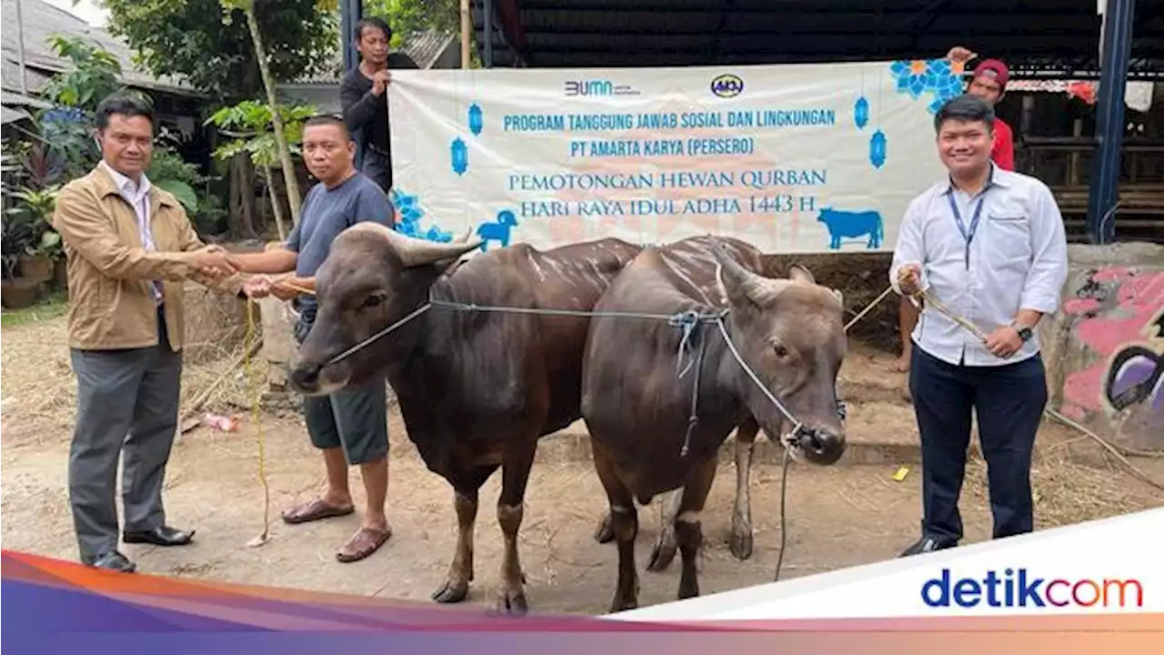 BUMN Ikut Salurkan Hewan Qurban, Ini Salah Satunya