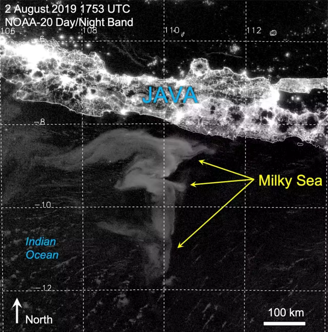 Mysterious Milky Seas Are Visible From Space