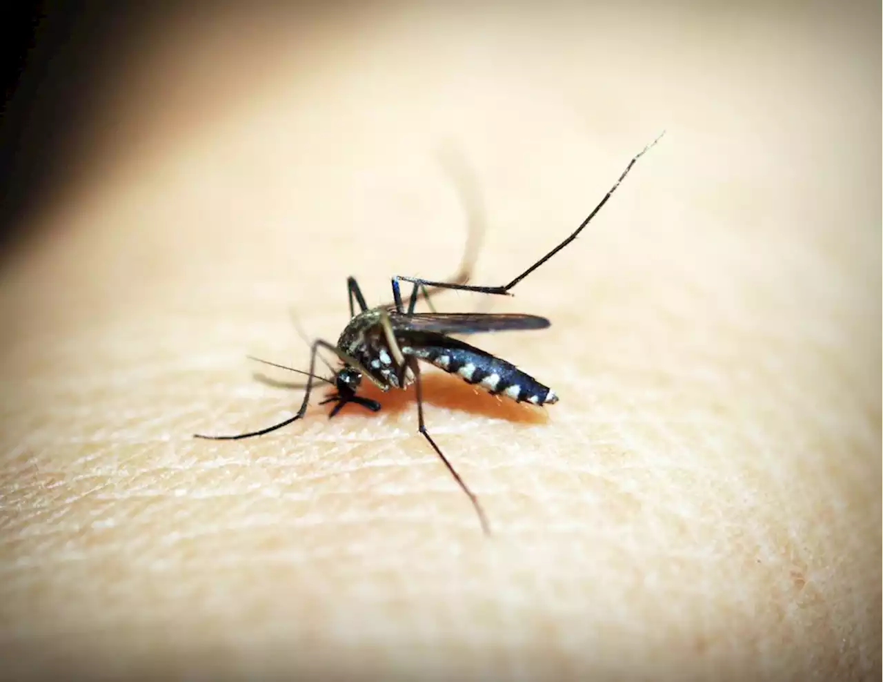 A case of human West Nile virus confirmed in Mobile County