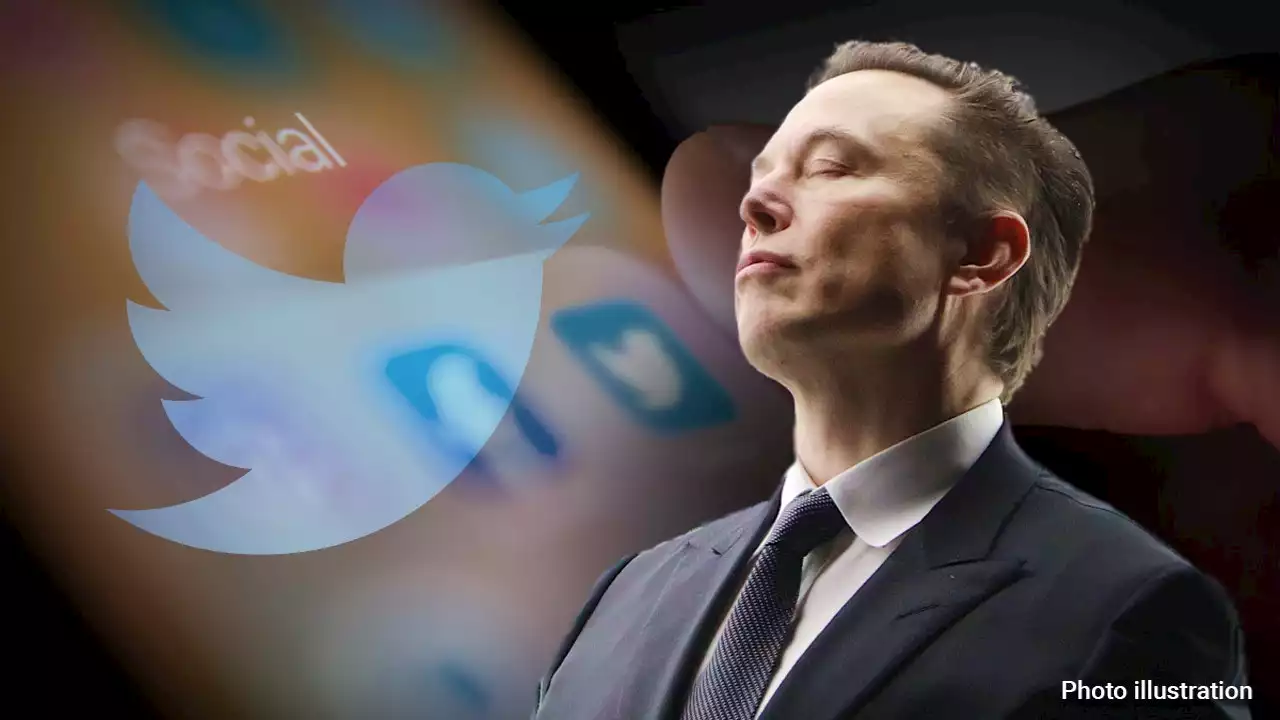 Elon Musk responds with laughing meme to Twitter lawsuit over broken buyout