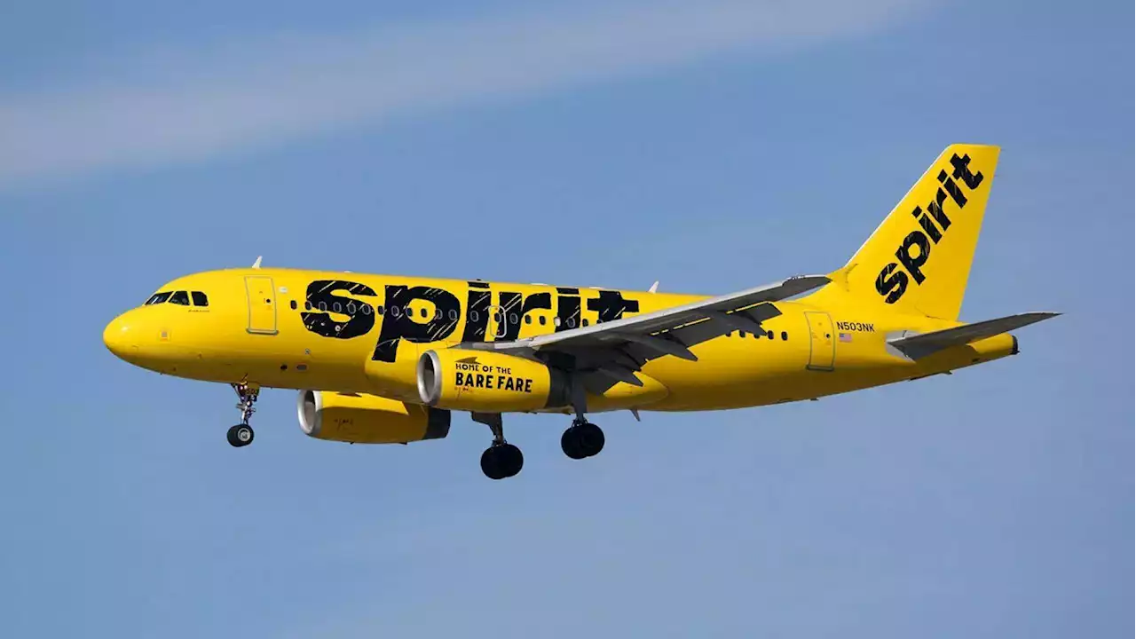 Spirit Airlines plane sees smoke, flames after brake overheats during safe landing at Atlanta airport