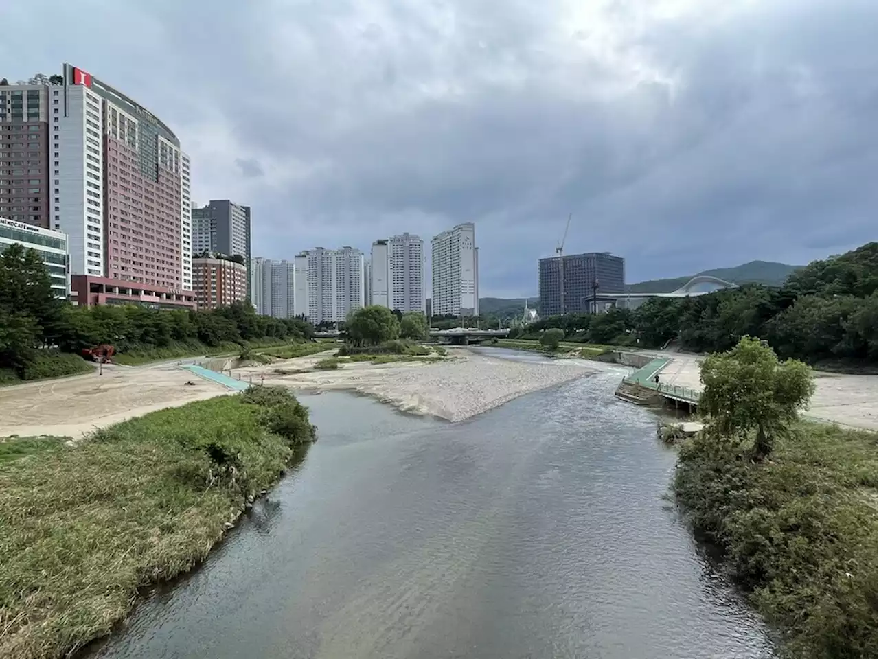 분당 탄천 콘크리트 보 뜯어내니…두 달 만에 ‘시골 개울’이 생겼다