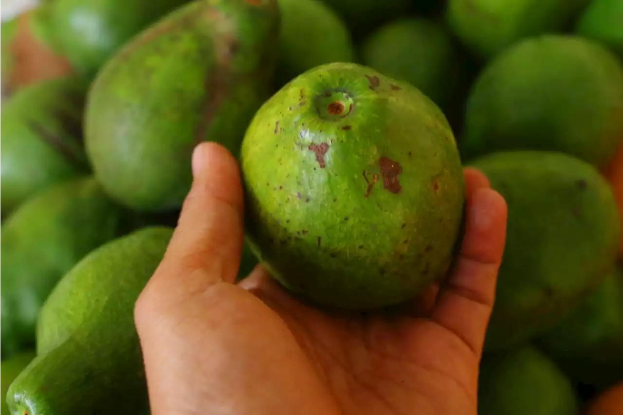 10 Makanan yang Membuat Anda Kenyang Lebih Lama, Berat Badan Terkendali