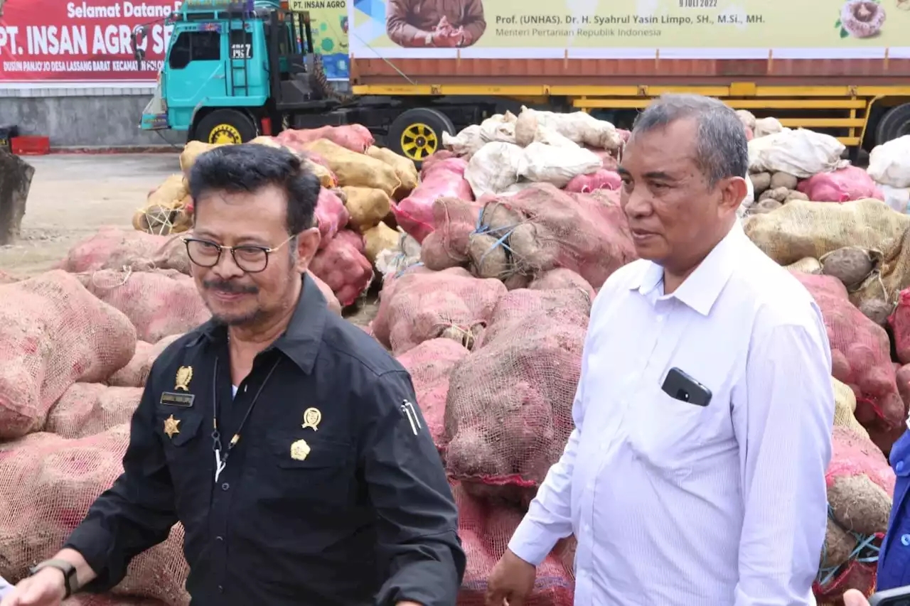 Mentan SYL Buat Petani Porang Tersenyum, 110 Ton Diekspor ke China