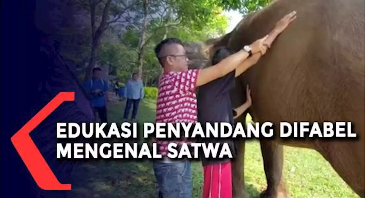 Seru! Puluhan Difabel Berwisata ke Taman Satwa