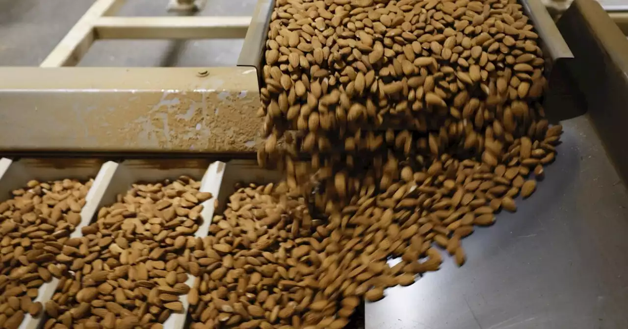 Letters to the Editor: 1.3 billion pounds of unsold almonds — that's a lot of water