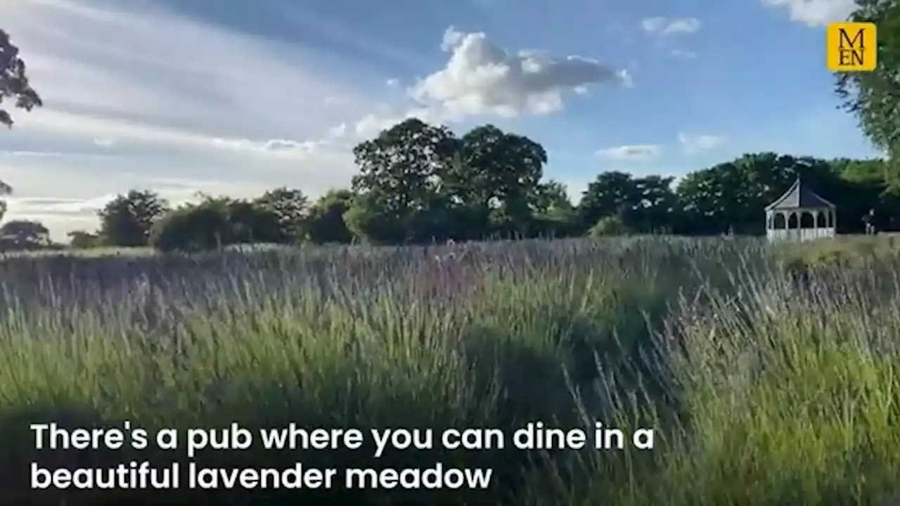 The Cheshire country pub with a lavender meadow for a beer garden