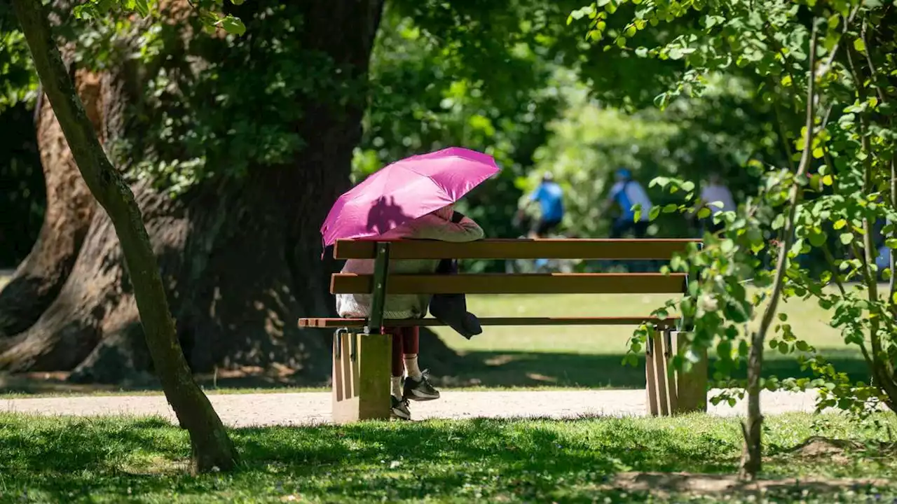 40 Grad in Deutschland! Die große Hitze ist im Anmarsch - Experte: Entwicklung wie in Italien