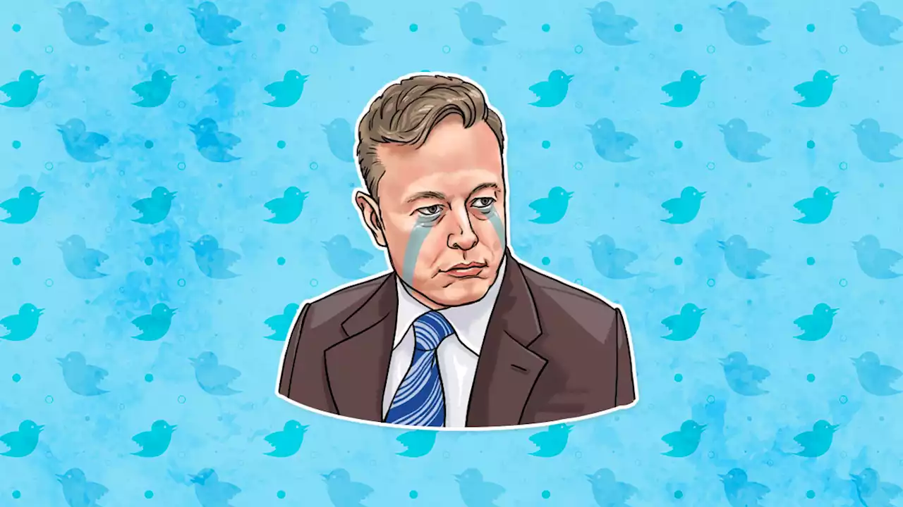 Twitter y Elon Musk: cronología de un culebrón plagado de 'plot twists'