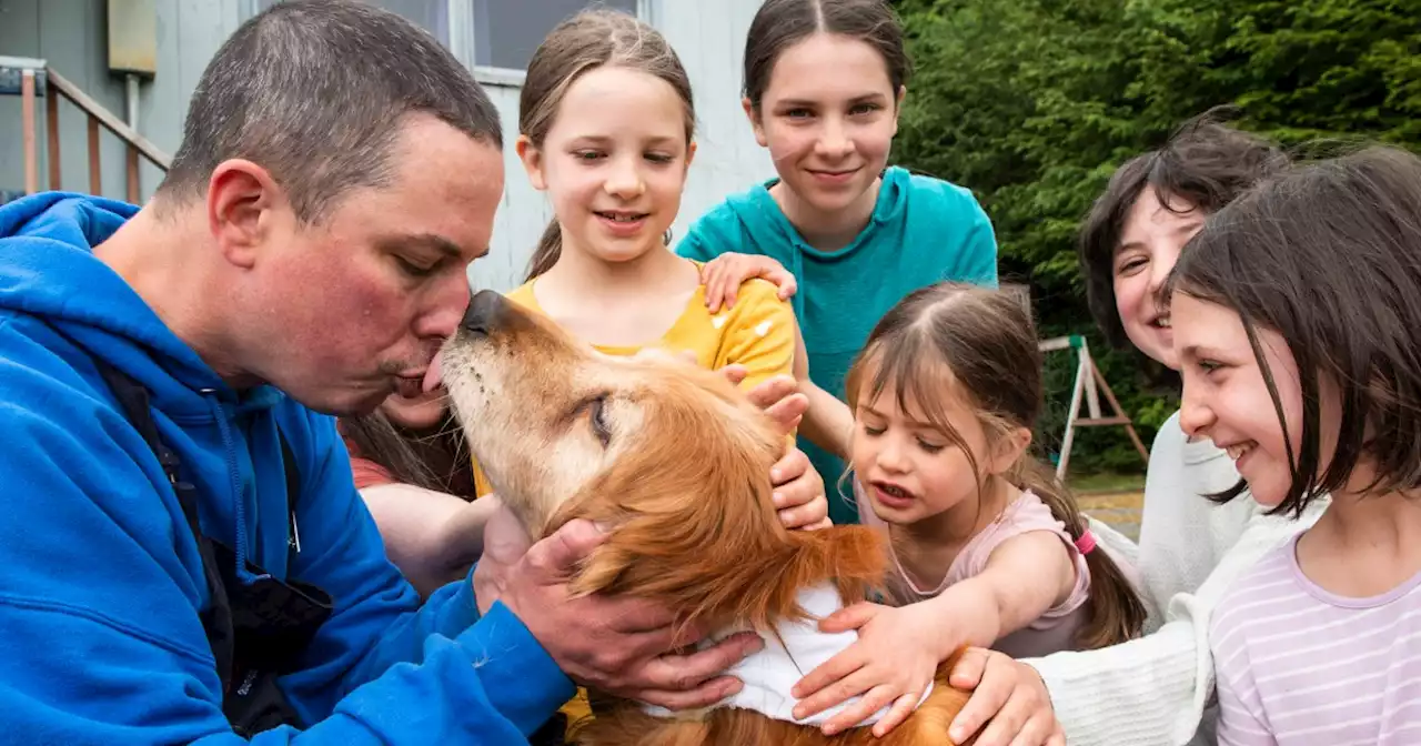 Blind older dog found in Alaska 3 weeks after wandering off