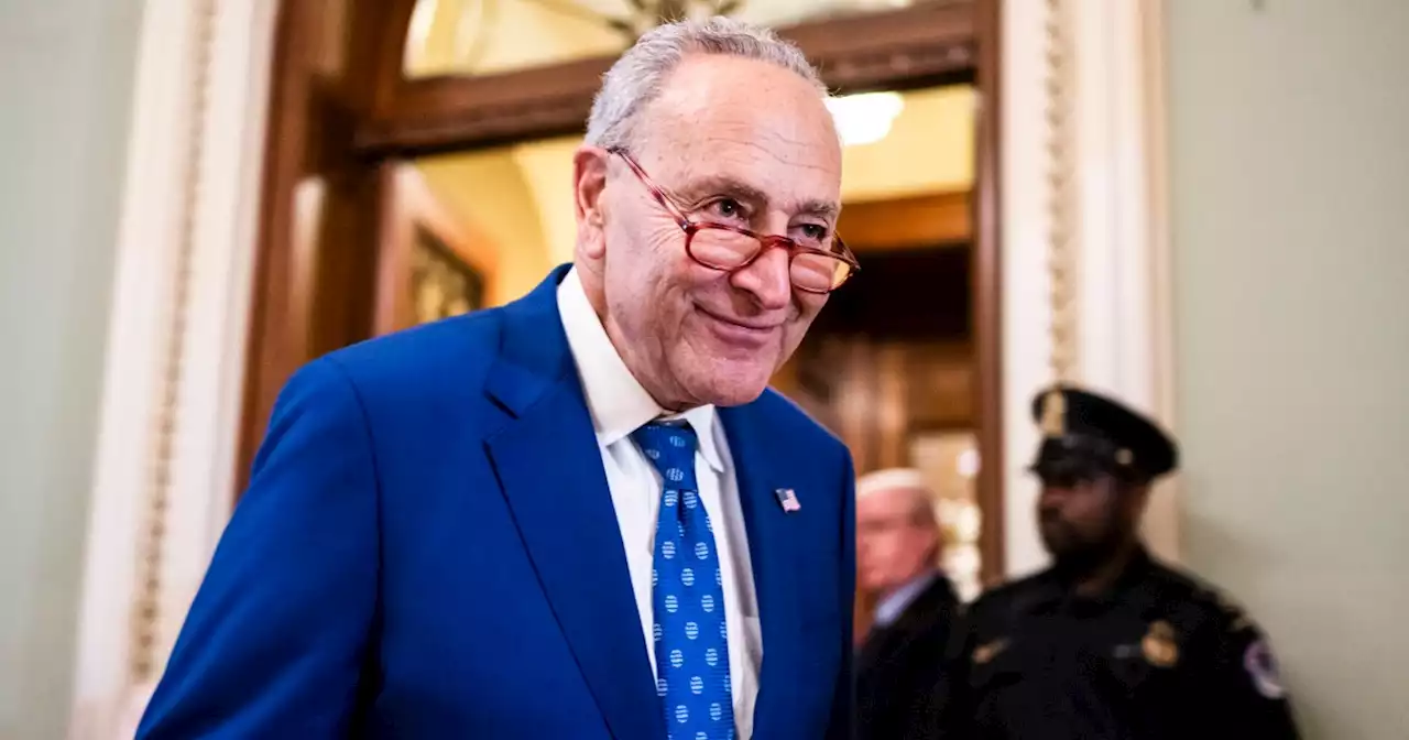 Senate Majority Leader Schumer has a mild case of Covid-19