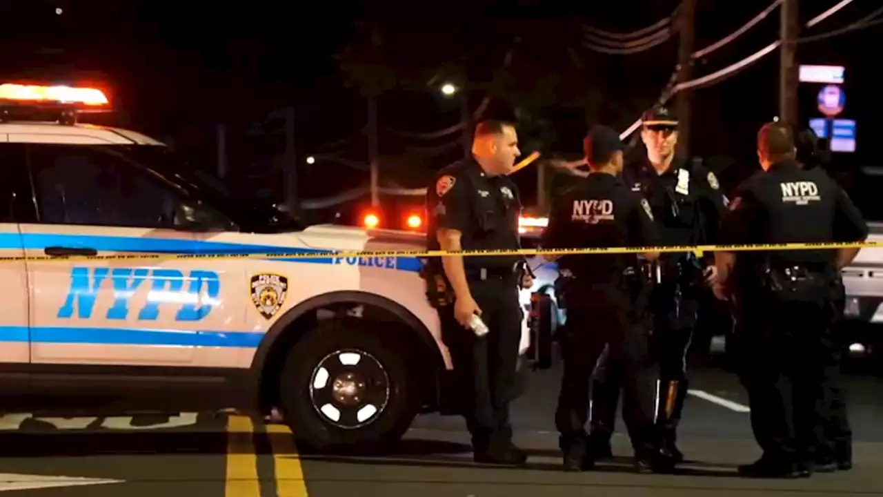 2 Teens Dead, 6 Others Hospitalized in Staten Island Car Crash: Officials