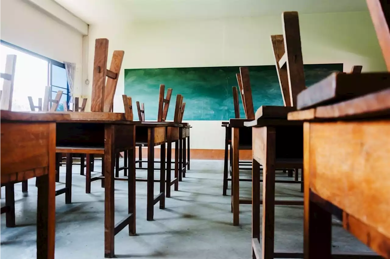 80% of schools attended by black, coloured pupils dysfunctional, says report | News24