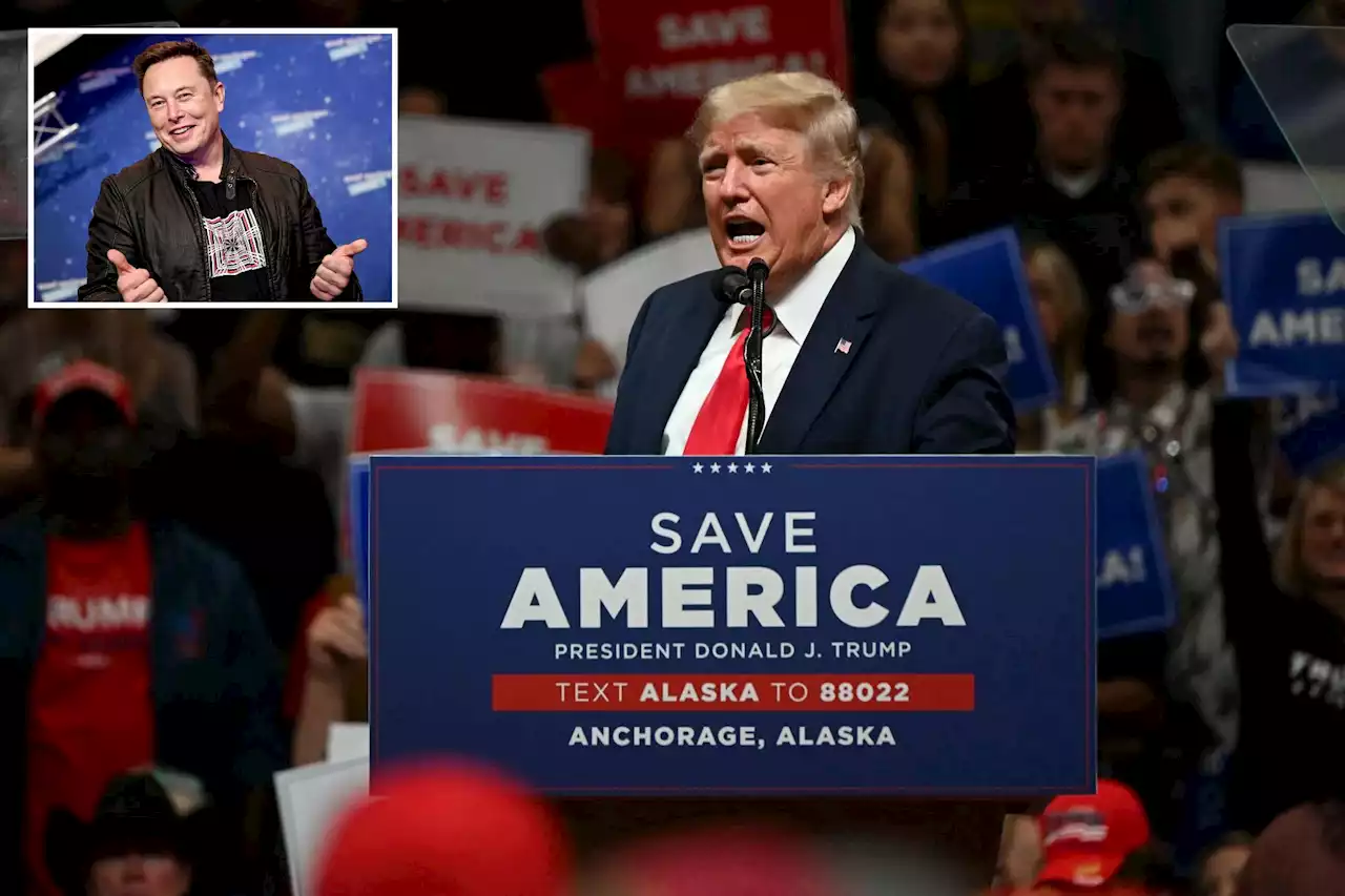 Trump slams Elon Musk as ‘bulls–t artist’ at GOP campaign rally