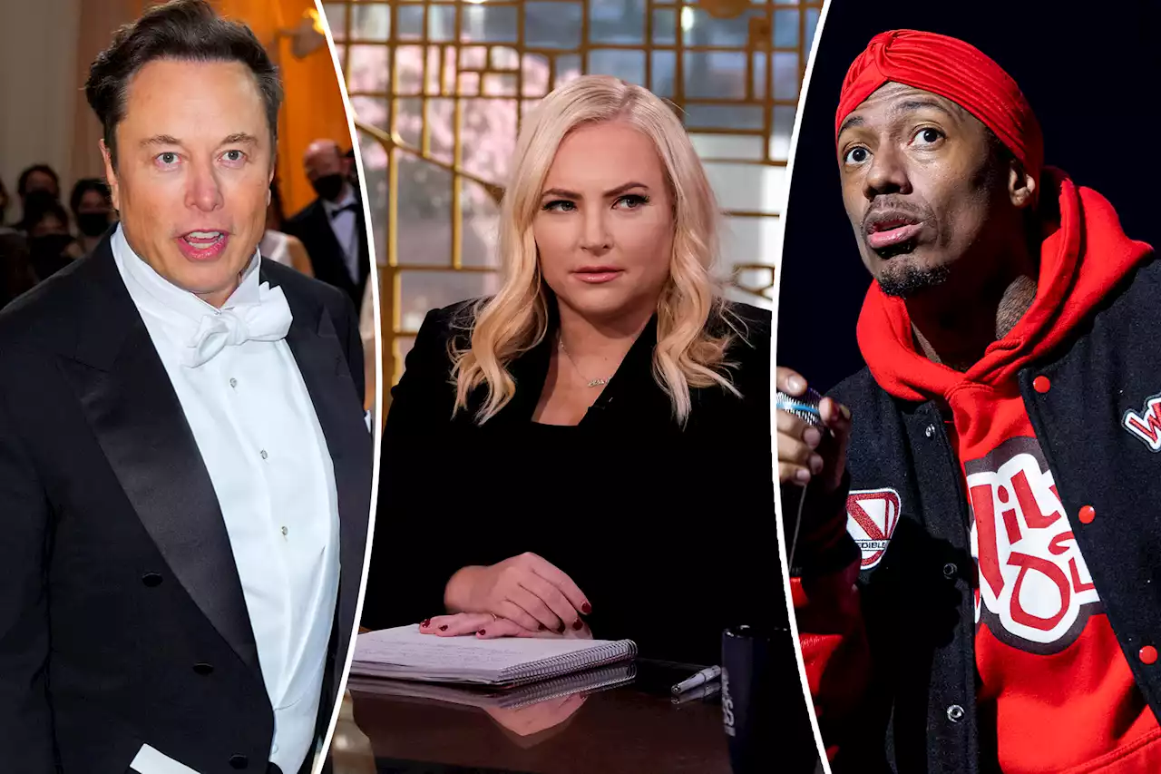 Meghan McCain slams Elon Musk, Nick Cannon’s ‘impregnate the planet’ mentality