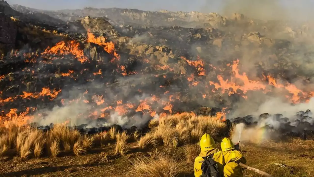 Focos ígneos activos en Entre Ríos, Catamarca y Córdoba | Incendios forestales