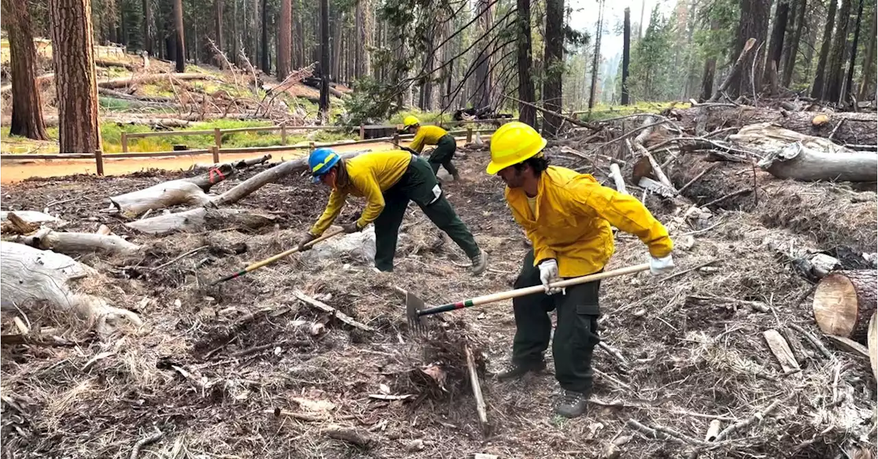 Firefighters start to contain blaze in California's Yosemite